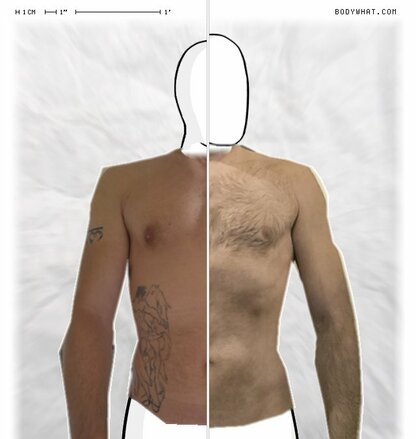 Torso Comparison