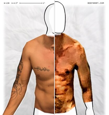 Torso Comparison