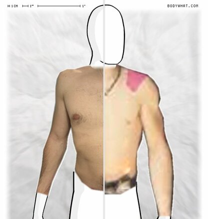 Torso Comparison