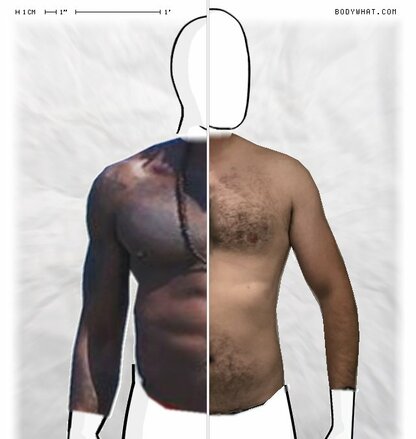 Torso Comparison