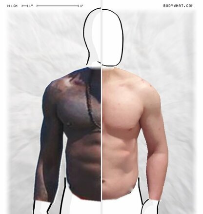 Torso Comparison