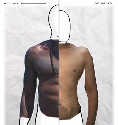 Torso Comparison