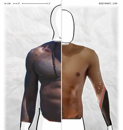 Torso Comparison