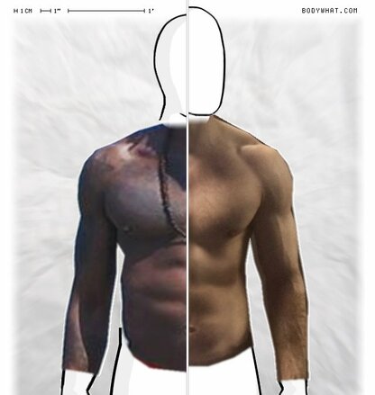 Torso Comparison