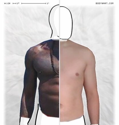 Torso Comparison