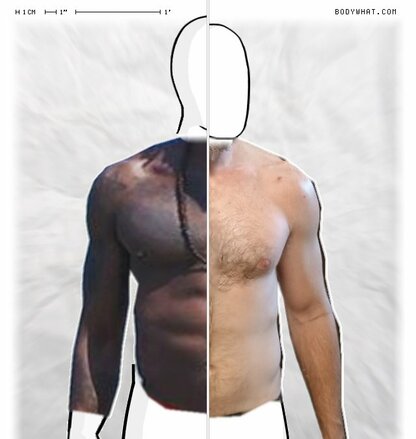 Torso Comparison