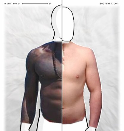 Torso Comparison