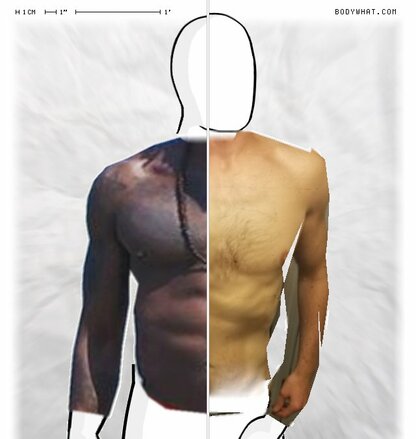 Torso Comparison