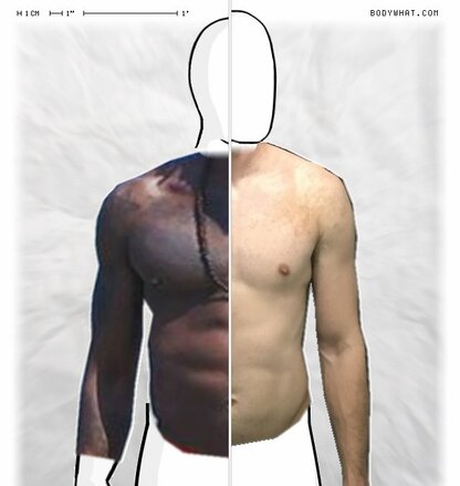 Torso Comparison