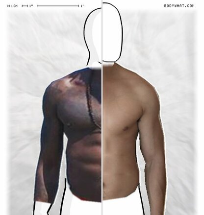 Torso Comparison