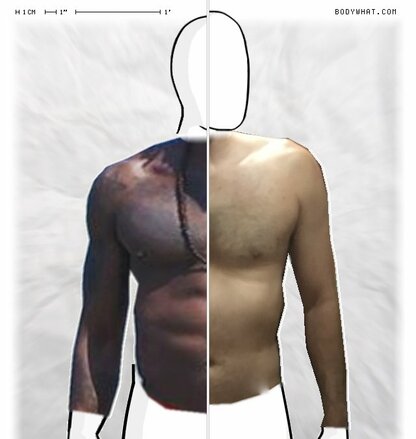 Torso Comparison