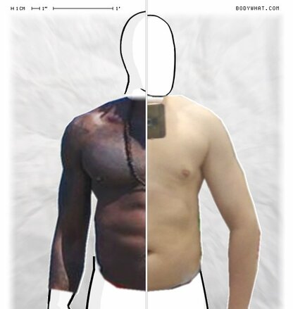 Torso Comparison