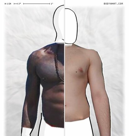 Torso Comparison