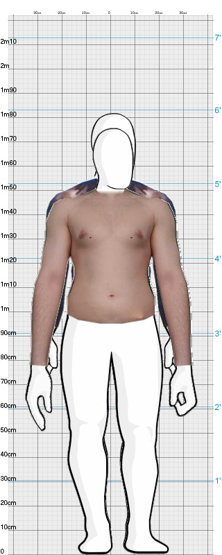 Full Size Comparison