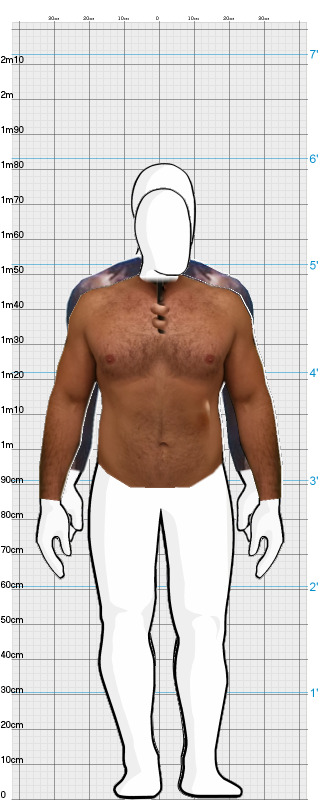 Full Size Comparison