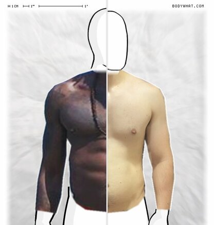 Torso Comparison