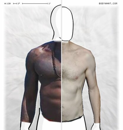 Torso Comparison