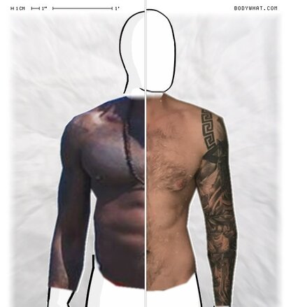 Torso Comparison
