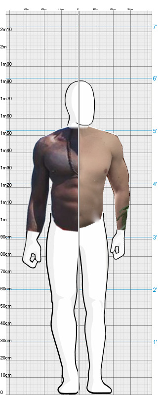 Full Size Comparison