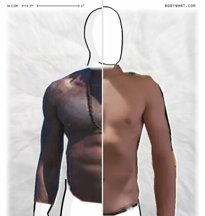 Torso Comparison