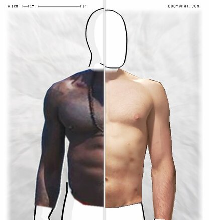 Torso Comparison