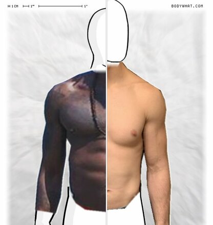 Torso Comparison