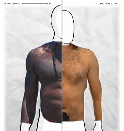Torso Comparison