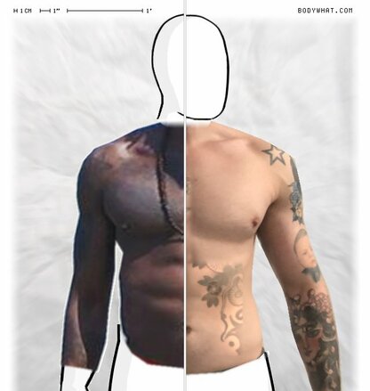 Torso Comparison