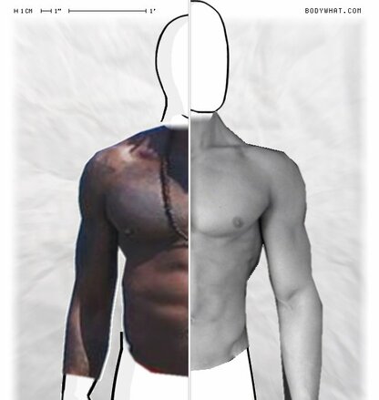 Torso Comparison
