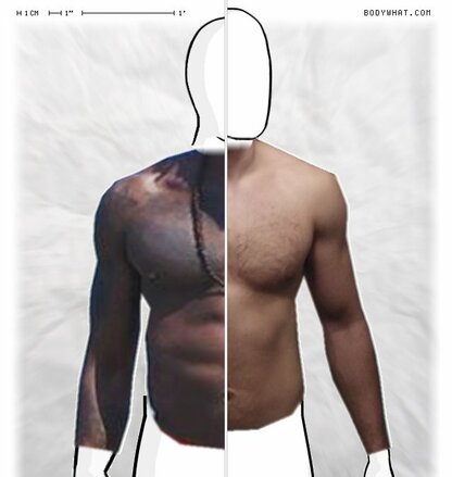 Torso Comparison