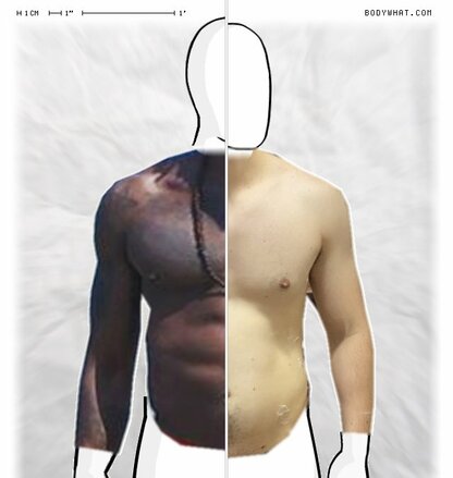 Torso Comparison