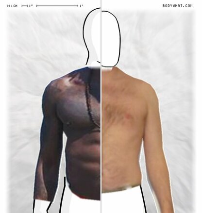 Torso Comparison