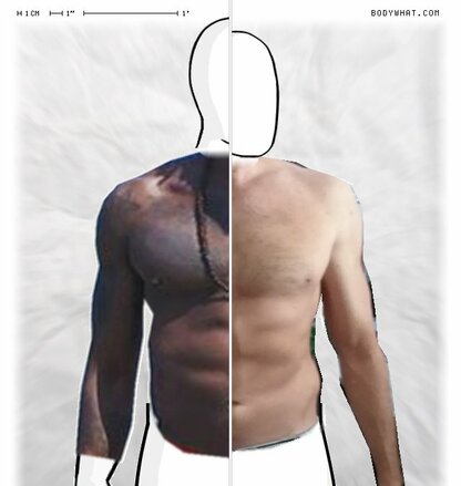 Torso Comparison