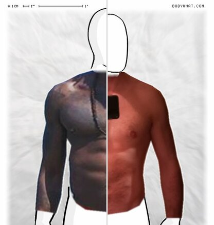 Torso Comparison