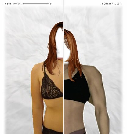 Torso Comparison