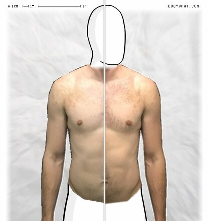 Torso Comparison