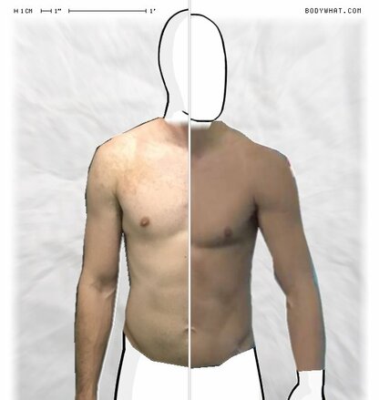 Torso Comparison