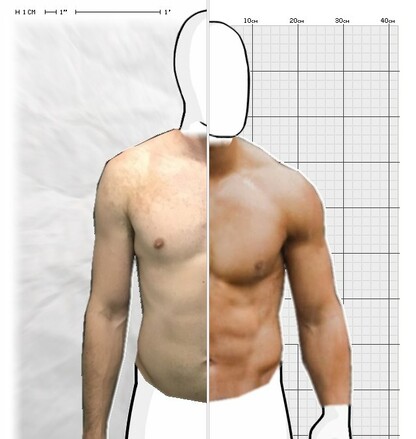 Torso Comparison