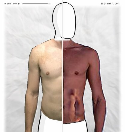Torso Comparison