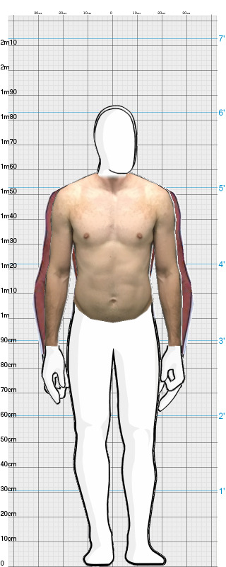 Full Size Comparison