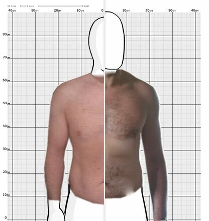 Torso Comparison