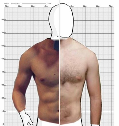 Torso Comparison