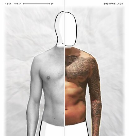 Torso Comparison