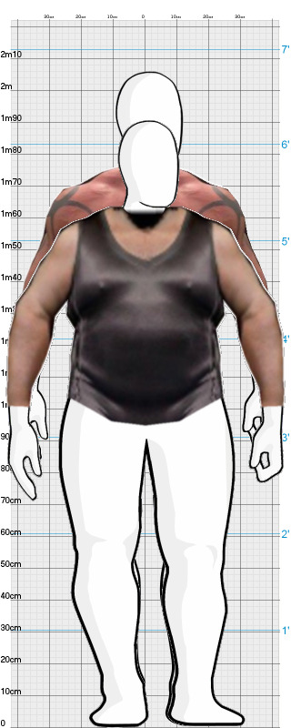 Full Size Comparison