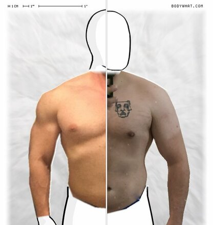 Torso Comparison