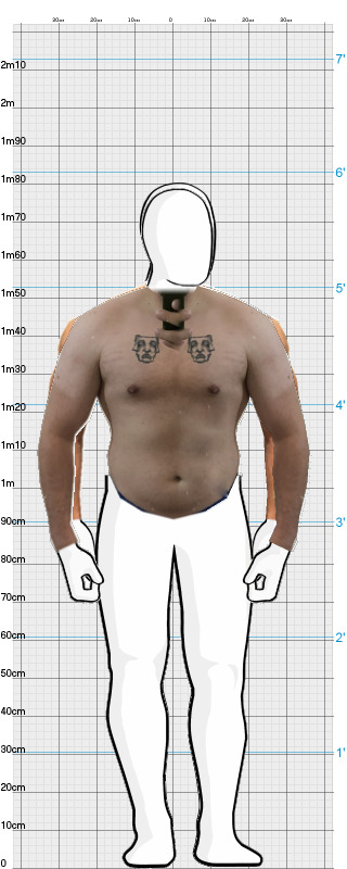 Full Size Comparison