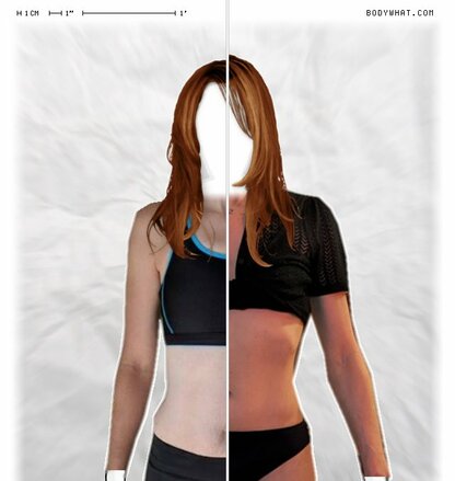 Torso Comparison