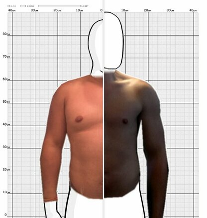 Torso Comparison