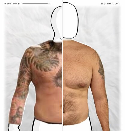 Torso Comparison