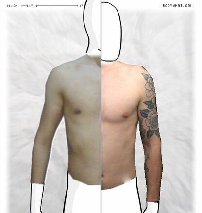 Torso Comparison
